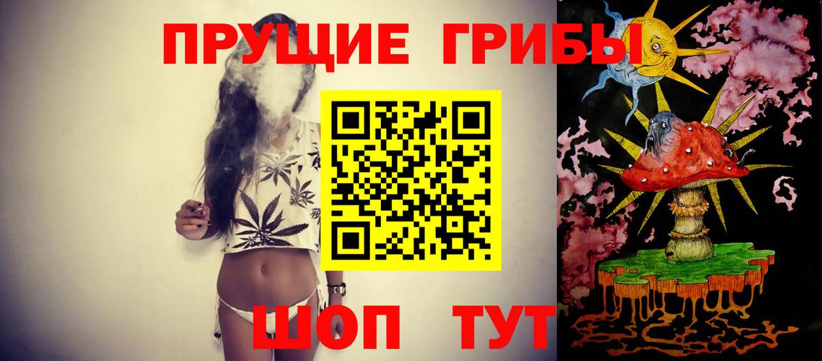 Псилоцибиновые грибы GOLDEN TEACHER  Вход с VPN  даркнет сайт  Тимашёвск 